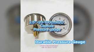 2.5" 60mm -20~100cmH2O स्टेनलेस केस+पीतल कनेक्शन