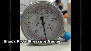 100 मिमी 4" सभी एसएस 0-2.5 एमपीए