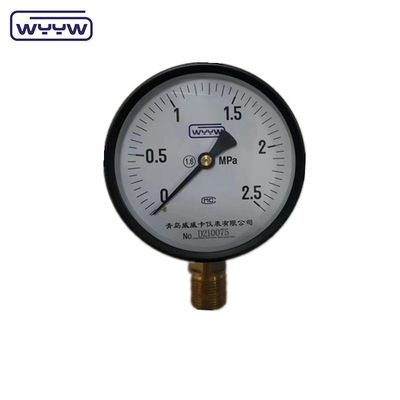 मूल्य WYYW कारखाना 1MPa 1.6MPa 100mm दबाव गेज M20X1.5 G1/2&quot; पानी मानोमीटर