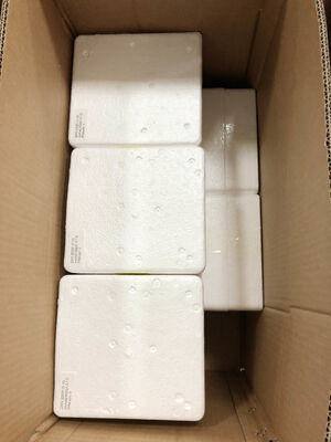 6" 0-1.6MPa रिमोट प्रेशर गेज ∙ 1.6% सटीकता ∙ वास्तविक समय में रीडिंग